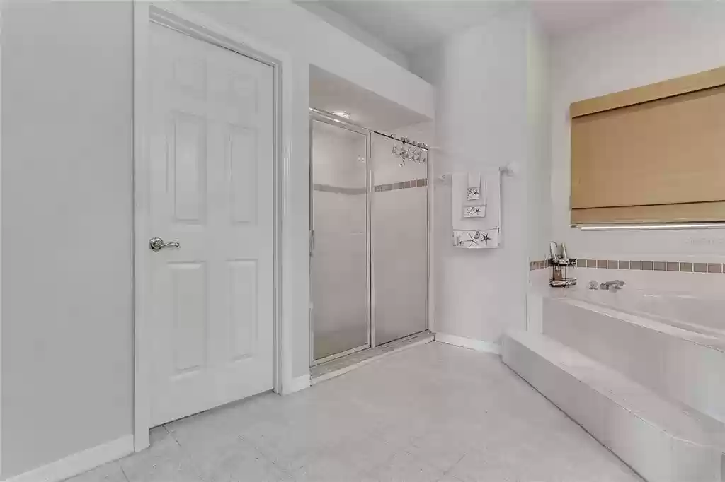 16350 Magnolia Bluff Drive, Montverde, FL 34756 - Master Bathroom